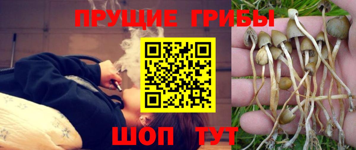 Избербаш  Галлюциногенные грибы GOLDEN TEACHER  цены наркотик  Галлюциногенные грибы прущие грибы  Вход с VPN 